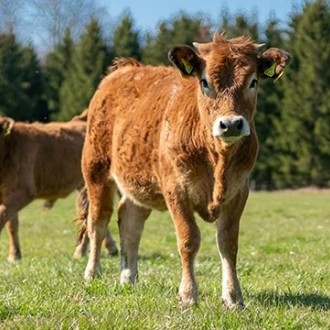 Profilbild von Biohof Silbernagl